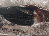 Chevrolet Traverse Lt 1GNERGKW5KJ181168 снимка