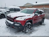 Jeep Cherokee Trailhawk 1C4PJMBS3GW255556 снимка