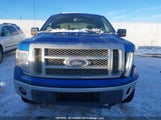 Ford F-150 Fx4/Harley-Davidson/Lariat/Xlt 1FTFW1EV0AFD07363 fotografie
