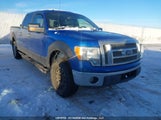 Ford F-150 Fx4/Harley-Davidson/Lariat/Xlt 1FTFW1EV0AFD07363 снимка