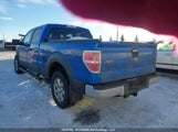 Ford F-150 Fx4/Harley-Davidson/Lariat/Xlt 1FTFW1EV0AFD07363 снимка