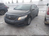 Toyota Corolla Ce 2T1BU40E59C084268 снимка
