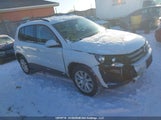 Volkswagen Tiguan Comfortline/Highline/Special Edition WVGJV7AXXGW506416 снимка