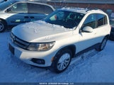 Volkswagen Tiguan Comfortline/Highline/Special Edition WVGJV7AXXGW506416 снимка