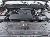Chevrolet Colorado Trail Boss 4Wd 1GCPTEEK4R1240687 fotografie