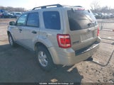 Ford Escape Xlt Automatic/Xlt Manual 1FMCU03749KD09946 снимка