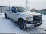 Ford F150 1FTMF1CW8AKE51253 снимка