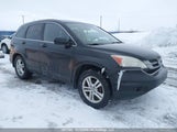 Honda Cr-V 5J6RE3H54AL803799 снимка