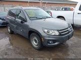 Volkswagen Tiguan Comfortline/Highline/Special Edition/Trendline WVGJV7AX1FW526701 photo