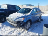 Honda Cr-V JHLRE38739C013173 снимка