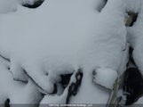 BMW X5 xDrive40I 5UXCR6C0XN9N10066 photo