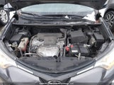 Toyota Rav4 Xle 2T3WFREV3JW486611 снимка