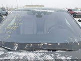 Land Rover Range Rover Evoque P250 Se SALZP2FX2LH009316 снимка