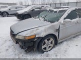 Acura Tl 19UUA66216A805004 снимка