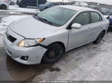 Toyota Corolla S/Le/Xle 2T1BU40E09C043952 снимка
