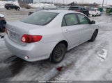 Toyota Corolla S/Le/Xle 2T1BU40E09C043952 снимка