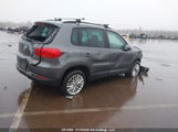 Volkswagen Tiguan Comfort/High/R-Line/Sp Ed WVGJV7AX3GW595519 снимка
