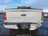 Ford F-150 Xlt 1FTFW1E88NKD71657 photo