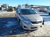 Toyota Corolla S/Le/Xle 2T1BU4EE7AC221403 снимка