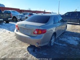 Toyota Corolla S/Le/Xle 2T1BU4EE7AC221403 fotografie