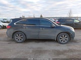 Acura Mdx 5FRYD4H25FB501317 снимка