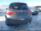 Acura Rdx Technology 5J8TB18587A800709 снимка