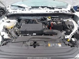 Ford Escape St Line 1FMCU9MN0RUB15324 снимка