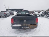 Dodge Dakota 1D7HW32K48S605839 fotografie