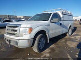 Ford F150 1FTPF1CF1EKE48150 снимка