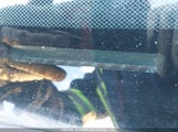 Honda Accord Ex 1HGCM82615A801069 снимка