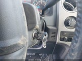 Ford F-150 Xlt 1FTFW1EF5EKD86194 снимка