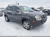 Hyundai Tucson Gl/Gls KM8JM72D57U625722 снимка