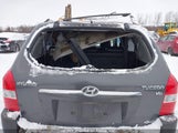 Hyundai Tucson Gl/Gls KM8JM72D57U625722 снимка