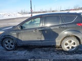 Ford Escape 1FMCU0GX2EUD11834 снимка