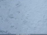 GMC Sierra  Sle 1GTUUBED4SZ209785 снимка