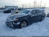 Acura Tl 3.7 19UUA9F59BA800235 снимка
