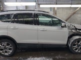 Ford Escape 1FMCU0GXXEUC87850 снимка