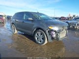 Ford Edge Sel 2FMDK4JC1DBB46483 fotografie