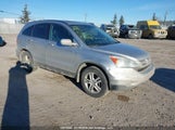 Honda Cr-V Exl 5J6RE4H76AL820093 снимка