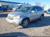 Honda Cr-V Exl 5J6RE4H76AL820093 снимка