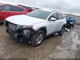 Hyundai Tucson Sel KM8JBCDE6RU332192 снимка