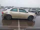 Toyota Corolla Ce 2T1BU4EE7CC835712 fotografie