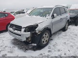Toyota Rav4 2T3BF4DV7BW119778 fotografie