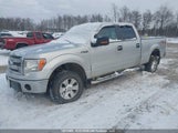 Ford F-150 Xlt 1FTFW1EF7DFA55656 снимка