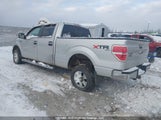 Ford F-150 Xlt 1FTFW1EF7DFA55656 снимка