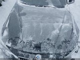 BMW 330 Xi WBA8D9C57JA615169 fotografie