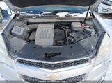 Chevrolet Equinox 2CNALDEC8B6299670 снимка