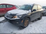 Volkswagen Tiguan WVGNV7AX2HW507286 снимка