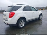Chevrolet Equinox 1Lt 2GNALBEK9F6379654 снимка