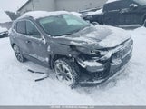 Ford Escape Platinum 1FMCU9JA4SUB24129 снимка